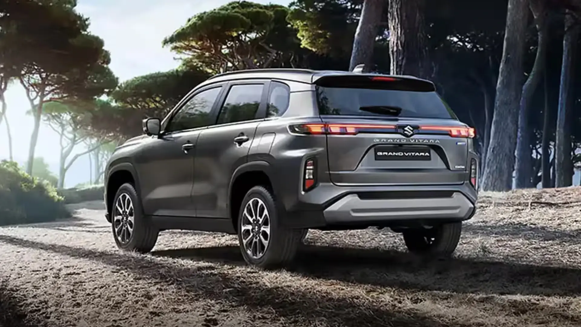 Maruti Suzuki Grand Vitara - Image 1